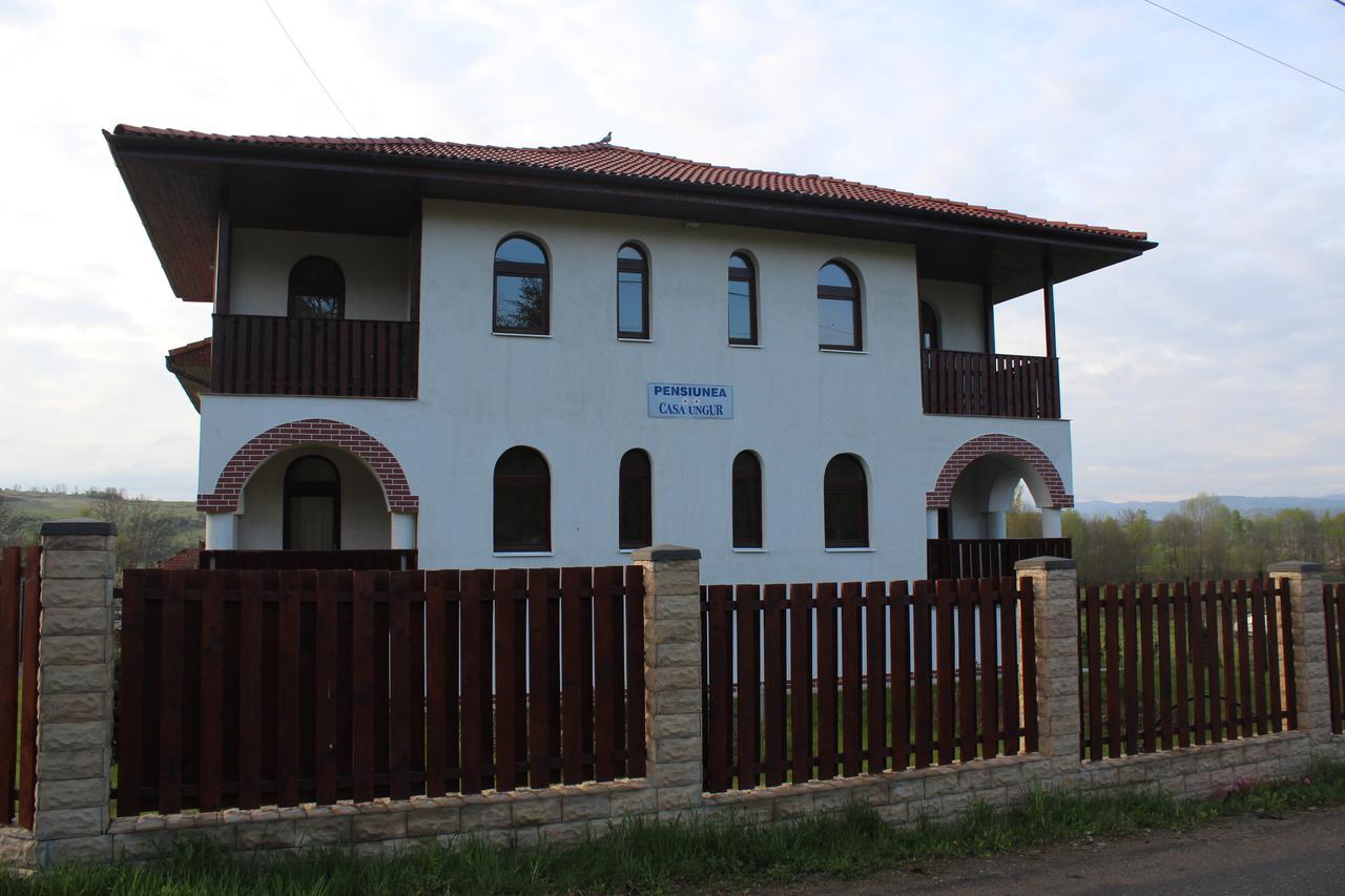 Pensiunea Casa Ungur Cetea Exterior foto